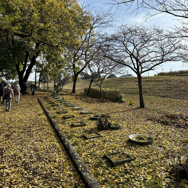 【愛知観光】自然と触れ合える癒しのスポット🫶🏻