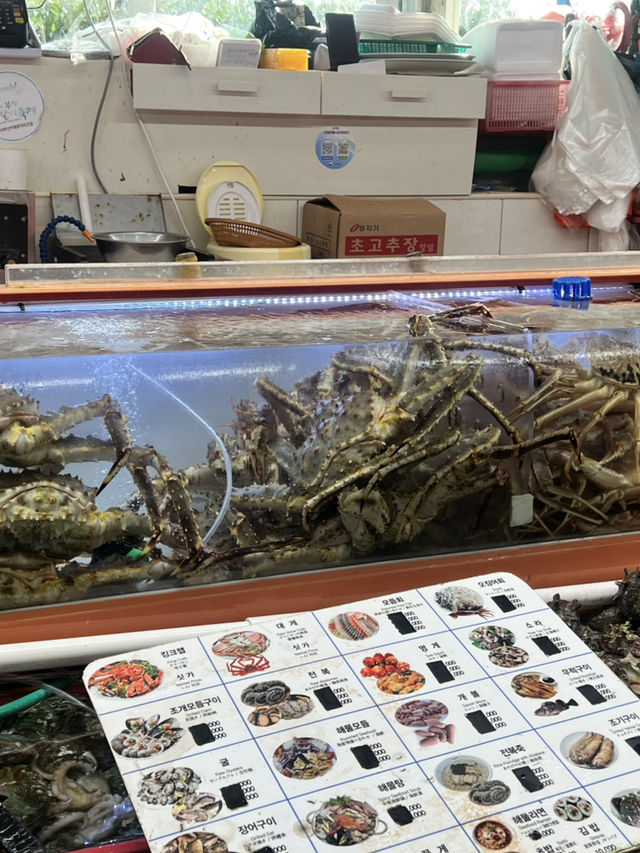 ตลาดปลาจากัลชี (Jagalchi Market) 😍🦀🐚