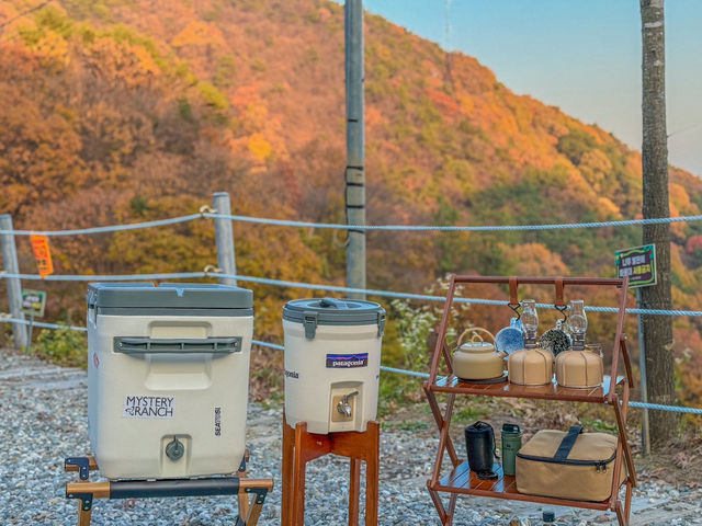 사계절이 아름다운 충주, 재오개캠핑장🇰🇷 풍경하나는 여기로 끝!