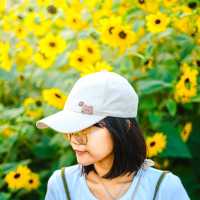 สวนดอกไม้วิวเขา “สวน อบจ เชียงใหม่” 