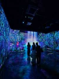 Teamlab Forest Fukuoka 🌳