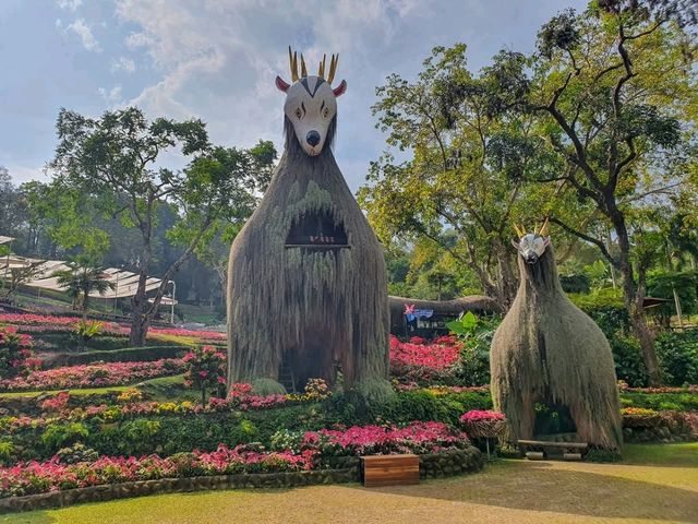 สวนแม่ฟ้าหลวงโฉมใหม่ที่ดอยตุง