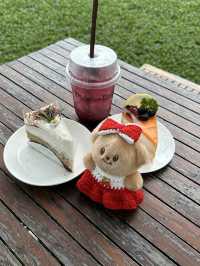Mulberry Mellow กาญจนบุรี