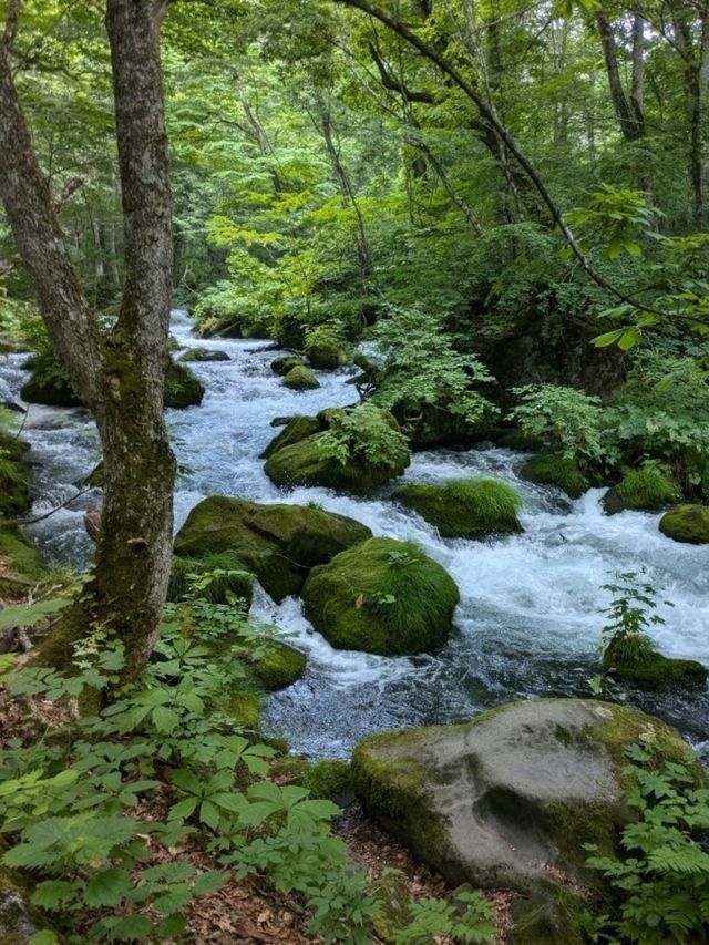 【青森県】奥入瀬渓流〜自然のパワースポット〜