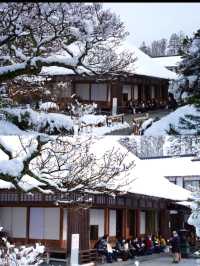 【宮城×冬の旅】詫び寂びを感じる庭  丸窓から見える春夏秋冬の景色