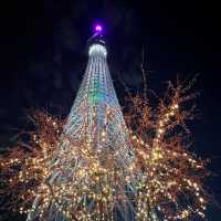 A Magical Holiday Experience: Christmas Illuminations in Tokyo