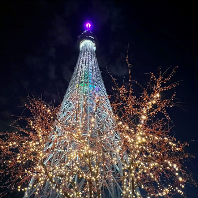 A Magical Holiday Experience: Christmas Illuminations in Tokyo