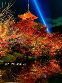 混んでいても行きたい京都の定番【清水寺】