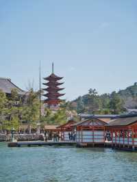 【広島】究極のパワースポット💪厳島神社で神秘体験✨