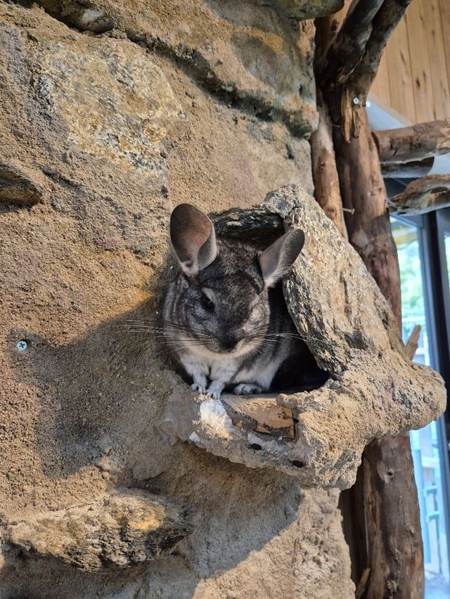 PAW Pet Animal World Nagasaki