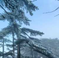 【中国/黄山風景区】