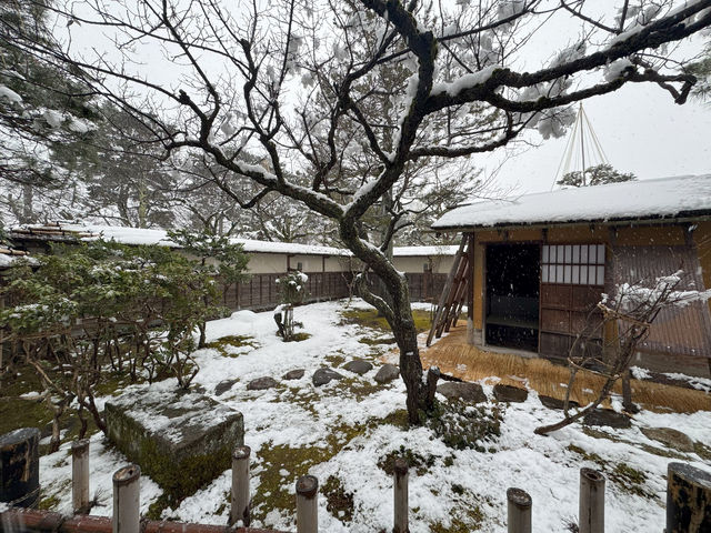 Winter Serenity at Tsurugajo Castle: A Timeless Blend of History and Snowy Beauty