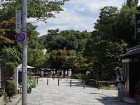 Uji: Kyoto’s Hidden Gem for Tea and Tranquility
