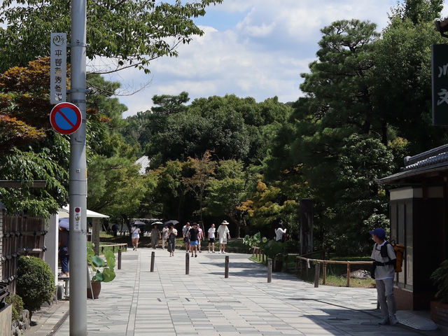 Uji: Kyoto’s Hidden Gem for Tea and Tranquility