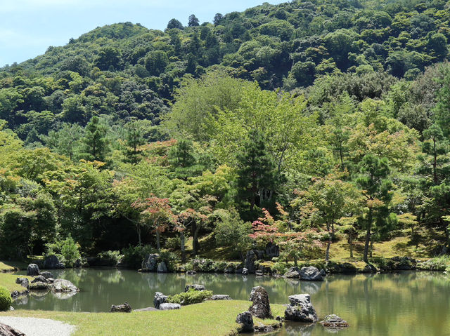 Zen Reverie: Discover Tenryu-ji Temple