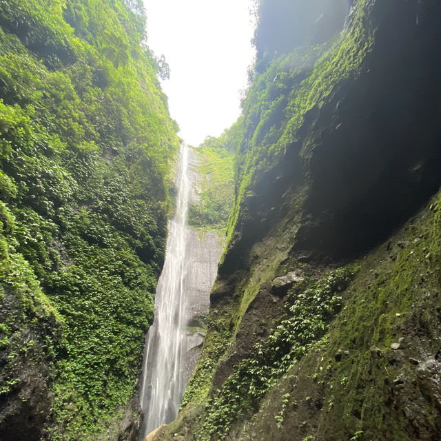 A Hidden Gem: Madakaripura Waterfall