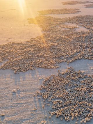 Moreton Island