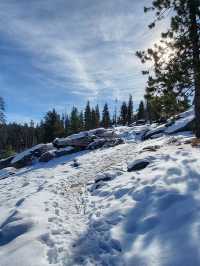 Kings Canyon is a breathtaking natural wonder located in Australia’s 