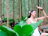 คาเฟ่ในป่าสน ภูผา คอฟฟี่แคมป์ ราชบุรี