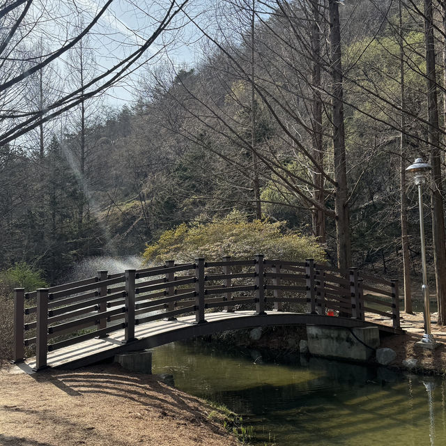 안동 산책하기 좋은 곳 추천 ▪️낙강물길공원