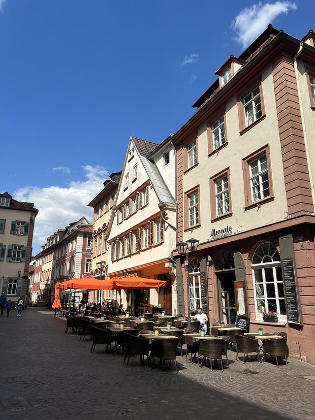 Heidelberg Day Trip: Castles, Culture, and Cobblestones