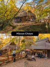 แจกแพลนเที่ยวเมือง Nara แบบ 1 day Trip 🦌