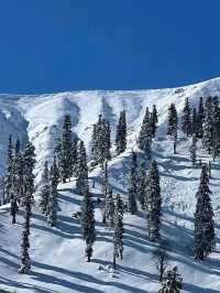 🏔️ Explore Gulmarg – A Paradise of Adventure & Beauty! ❄️