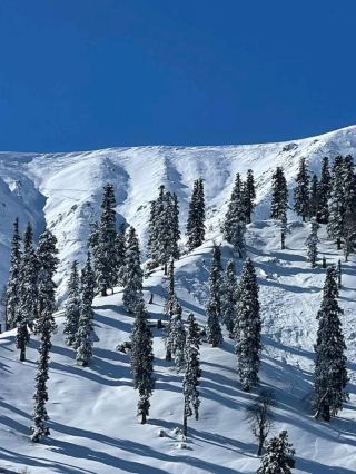 🏔️ 探索古爾瑪爾格－冒險與美麗的天堂！ ❄️