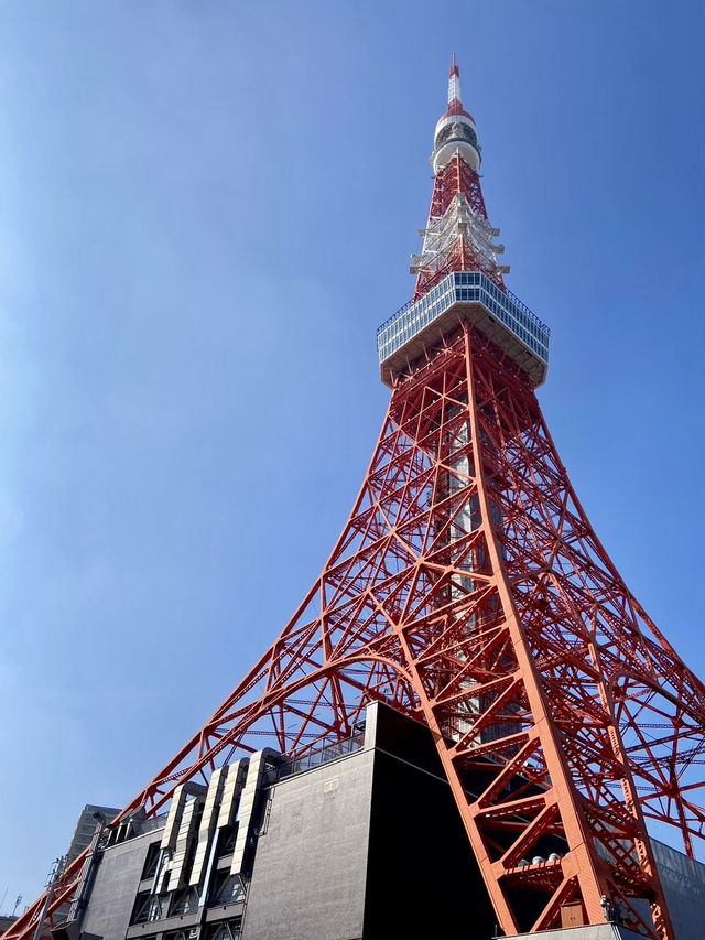【東京都】 定番中の定番　The東京