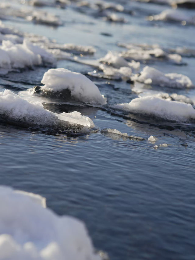 🇮🇸 Chasing Waterfalls and Ice: A South Coast Adventure in Iceland