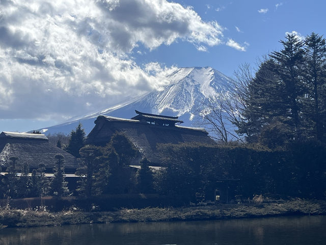 忍野八海