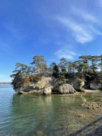 【宮城県】日帰り1dayトリップ in松島海岸