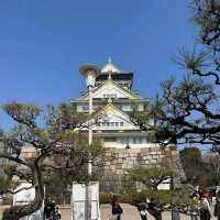 Osaka Castle (大阪城) – A Must-Visit Historic Landmark