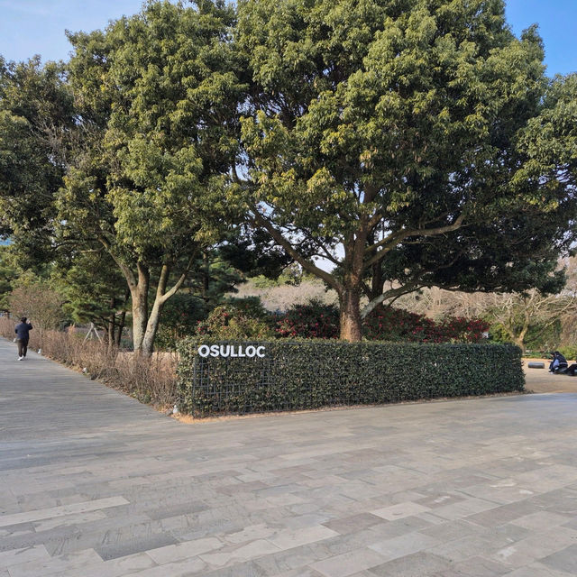 🌳☕️제주 서쪽 가볼만한 곳 오설록 티뮤지엄 