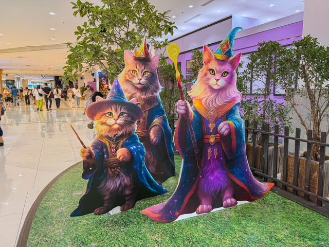 🐱✨ The Secret Magic Cat