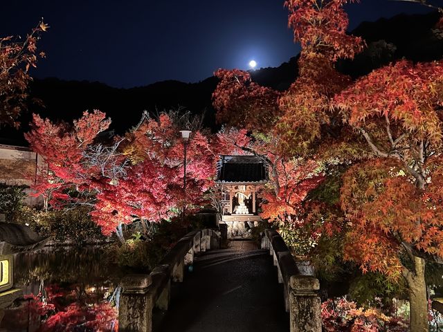  Nocturn Delights at the Eikando-ji Temple in Kyoto