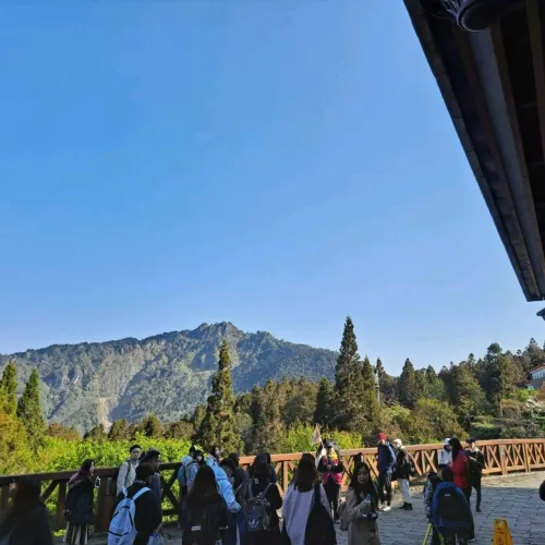 嘉義|阿里山眠月線,走進遺世鐵道秘境