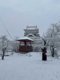 Winter Serenity at Matsushiro Castle