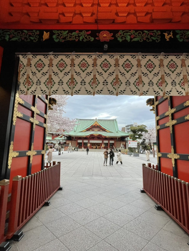【東京×神田明神の桜】  