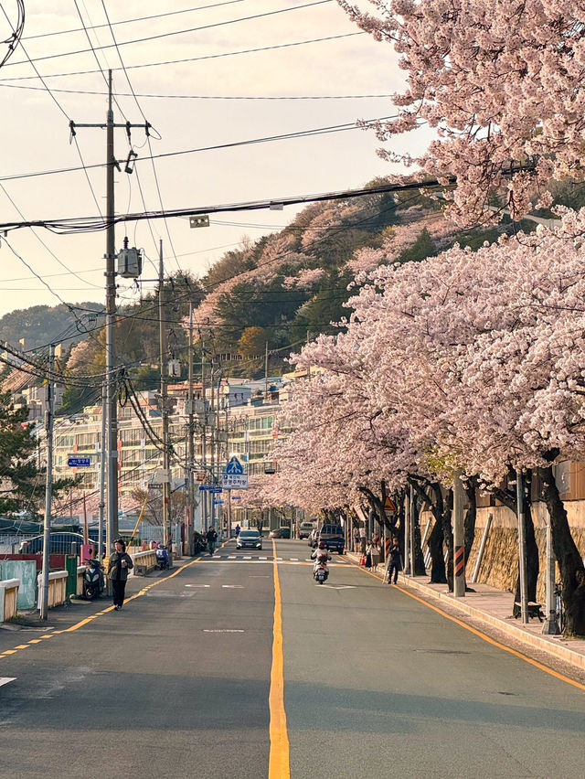 알록달록한 벽화와 모노레일이 지나가는 그림같은 봄날💗