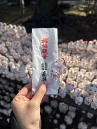 豪德寺 & 下北澤一日遊分享🐱⛩️
