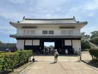 Step Into a Samurai Legacy: Exploring Himeji Castle