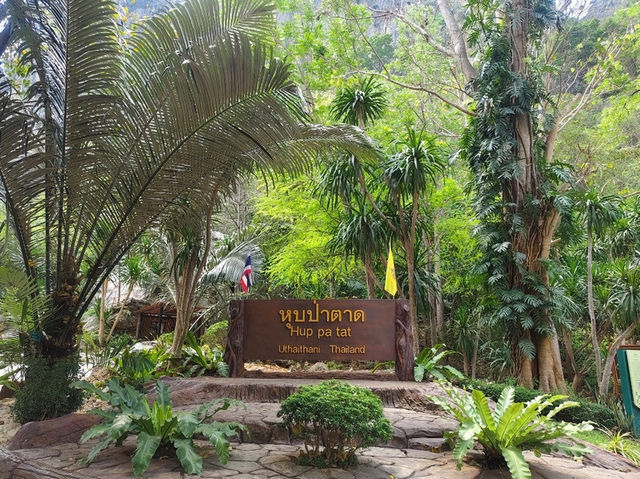 เที่ยวธรรมชาติ @ หุบป่าตาด อุทัยธานี