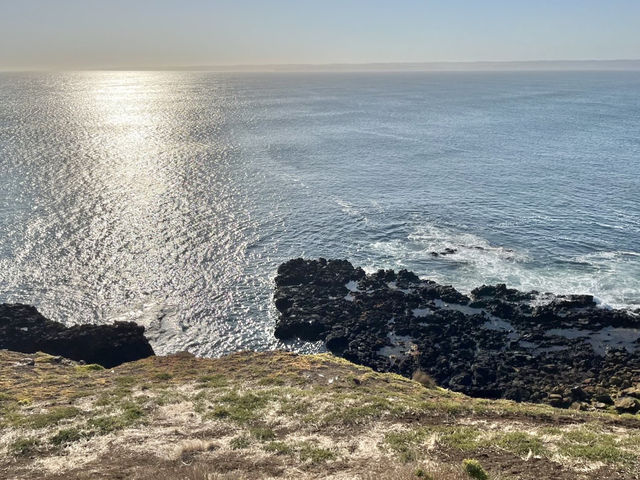 🇦🇺 又有海景又是企鵝的家！🐧