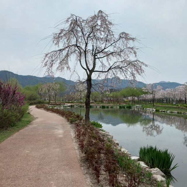 "숨은 보석 같은 거창 창포원, 자연을 만나다"