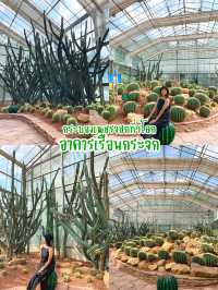4 จุดห้ามพลาด ในสวนพฤกษาศาสตร์เชียงใหม่ 🌵