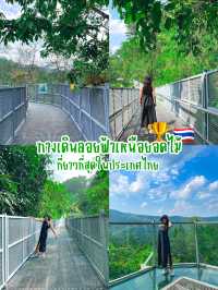 4 จุดห้ามพลาด ในสวนพฤกษาศาสตร์เชียงใหม่ 🌵