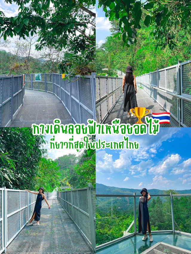 4 จุดห้ามพลาด ในสวนพฤกษาศาสตร์เชียงใหม่ 🌵