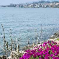 Spring Serenity by the Lake in Montreux