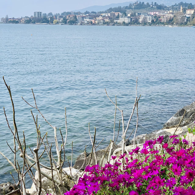 Spring Serenity by the Lake in Montreux